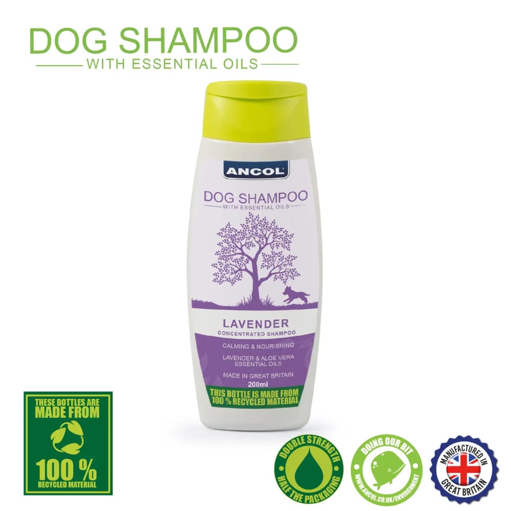 Lavender Essential Oil 2X Concentrated Premium Dog Shampoo