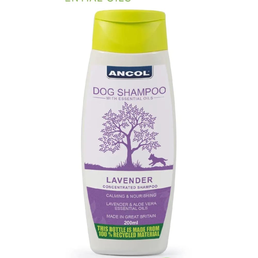 Lavender Essential Oil 2X Concentrated Premium Dog Shampoo