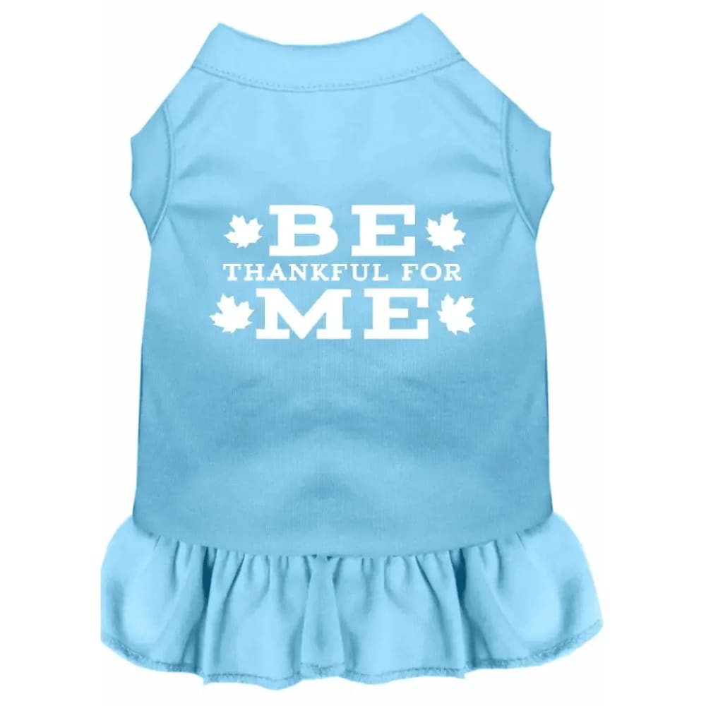 Be Thankful for Me Pet Dress - Pet Dress