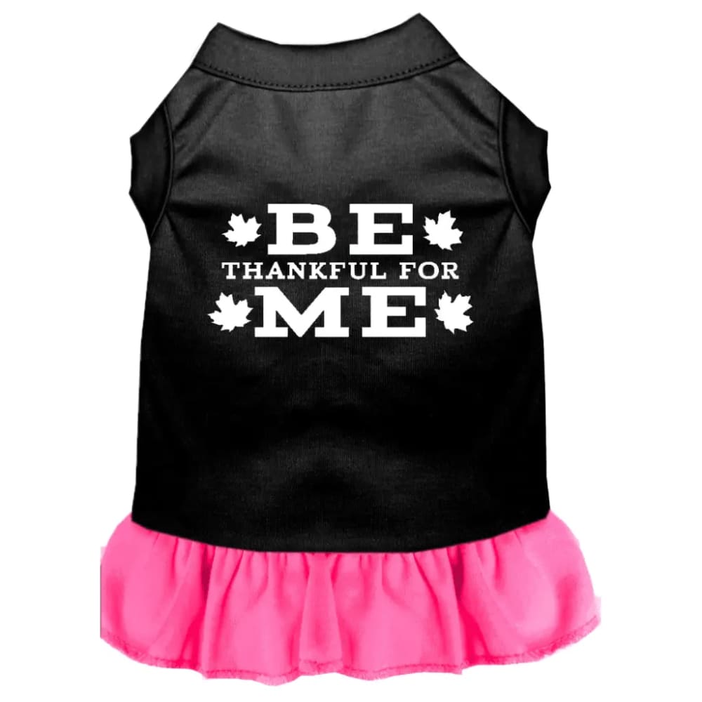 Be Thankful for Me Pet Dress - Pet Dress