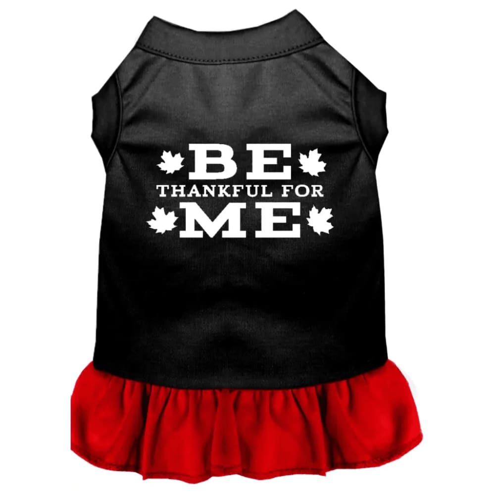 Be Thankful for Me Pet Dress - Pet Dress