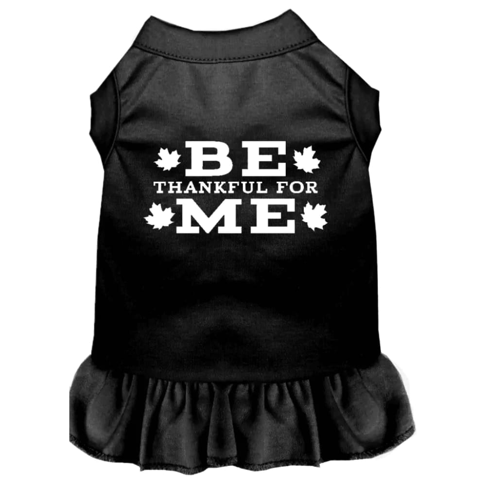 Be Thankful for Me Pet Dress - Pet Dress