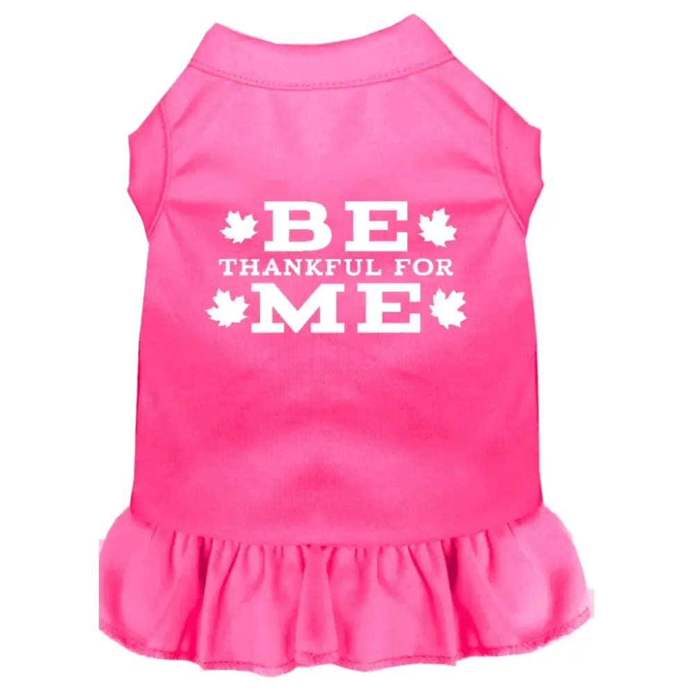 Be Thankful for Me Pet Dress - Pet Dress