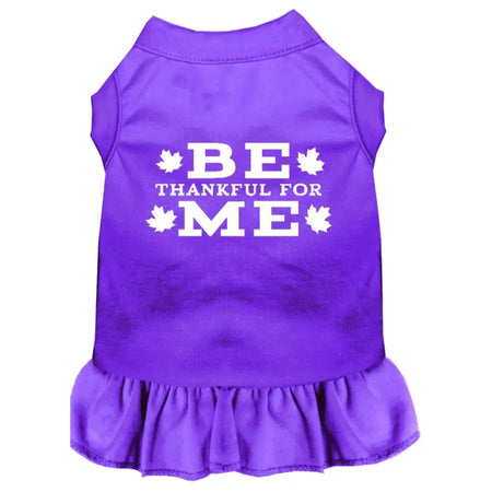 Be Thankful for Me Pet Dress - Pet Dress