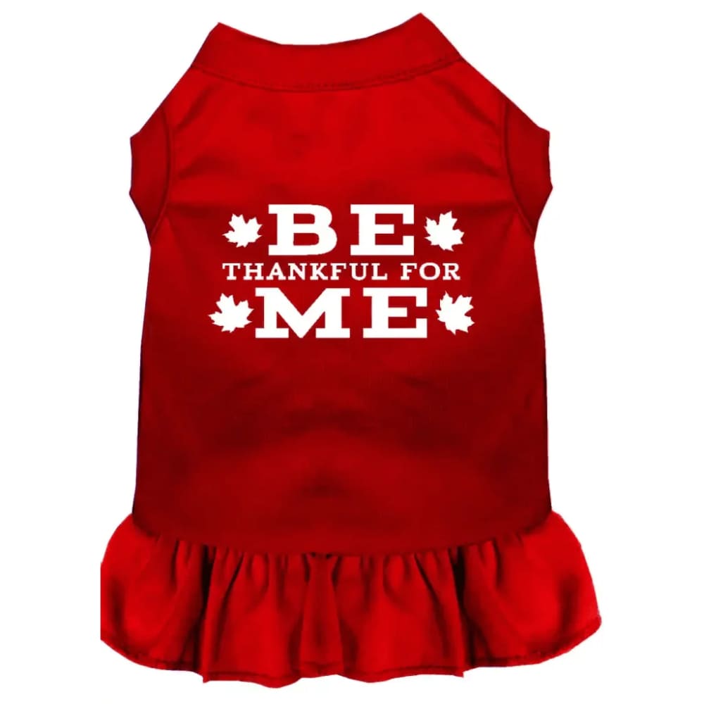 Be Thankful for Me Pet Dress - Pet Dress