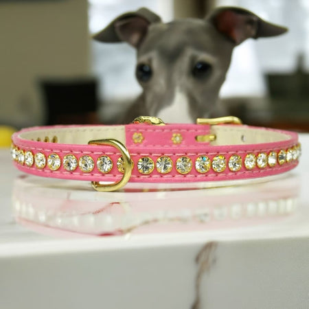 Beverly Clear Crystal Jewelry Set Dog Collar - Dog Collars