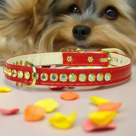 Beverly Dog Collar with Aurora Borealis Stones - Dog