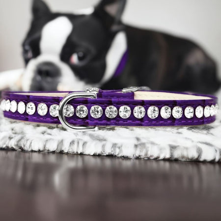 Beverly Style Rhinestone Designer Croc Dog Collar - Dog