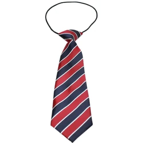 Big Dog Neck Tie Striped - Ties - Big Dog