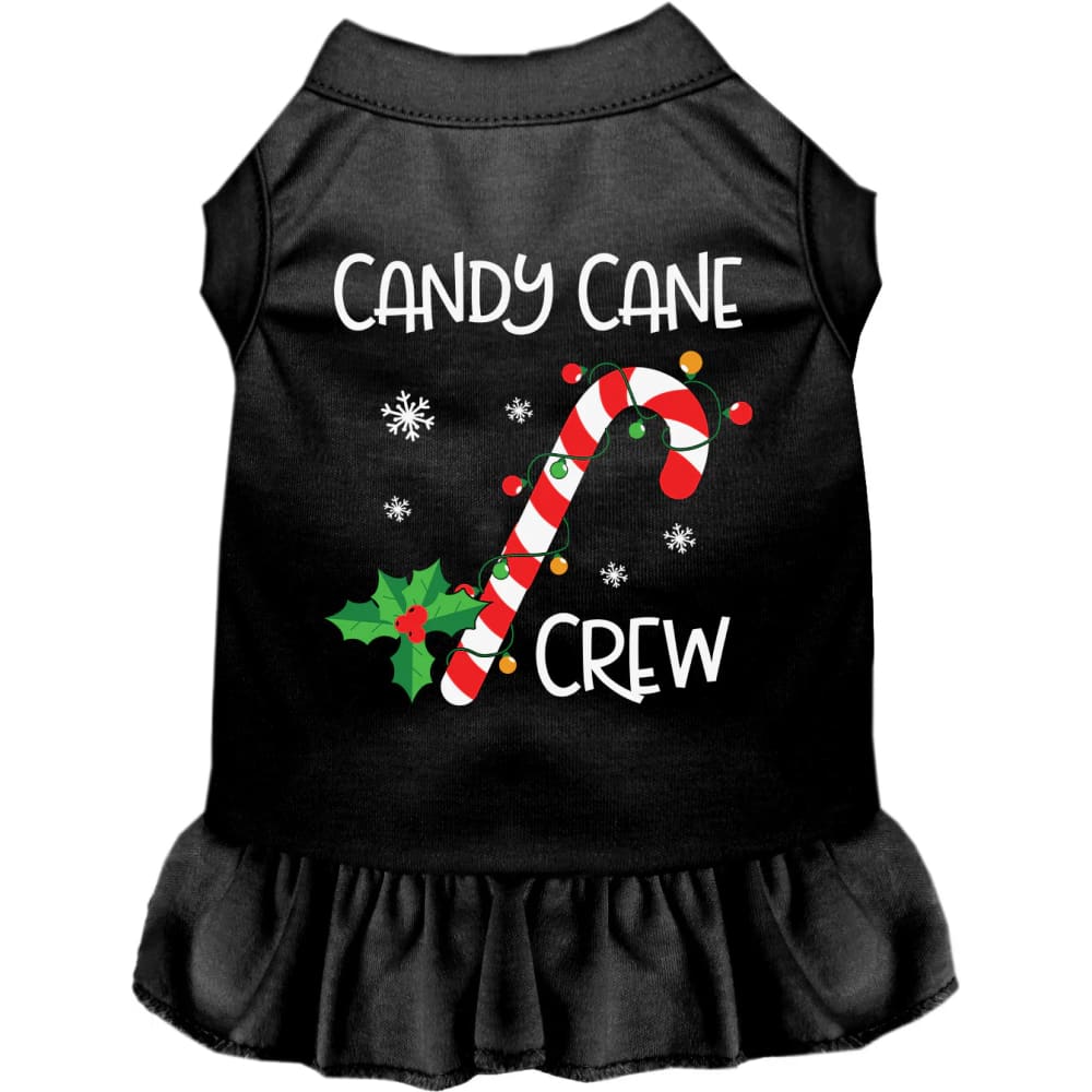 Candy Cane Crew Pet Dress - Christmas Dress