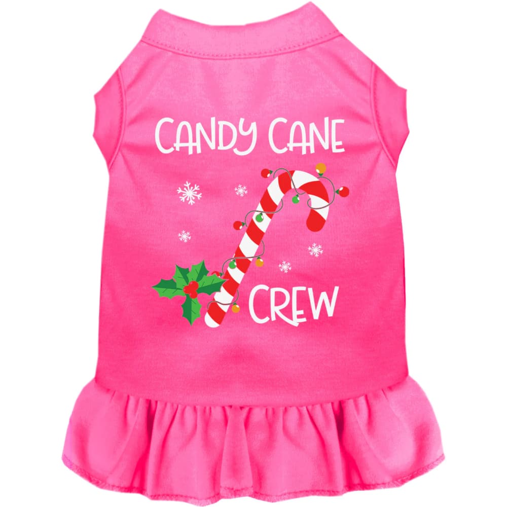 Candy Cane Crew Pet Dress - Christmas Dress