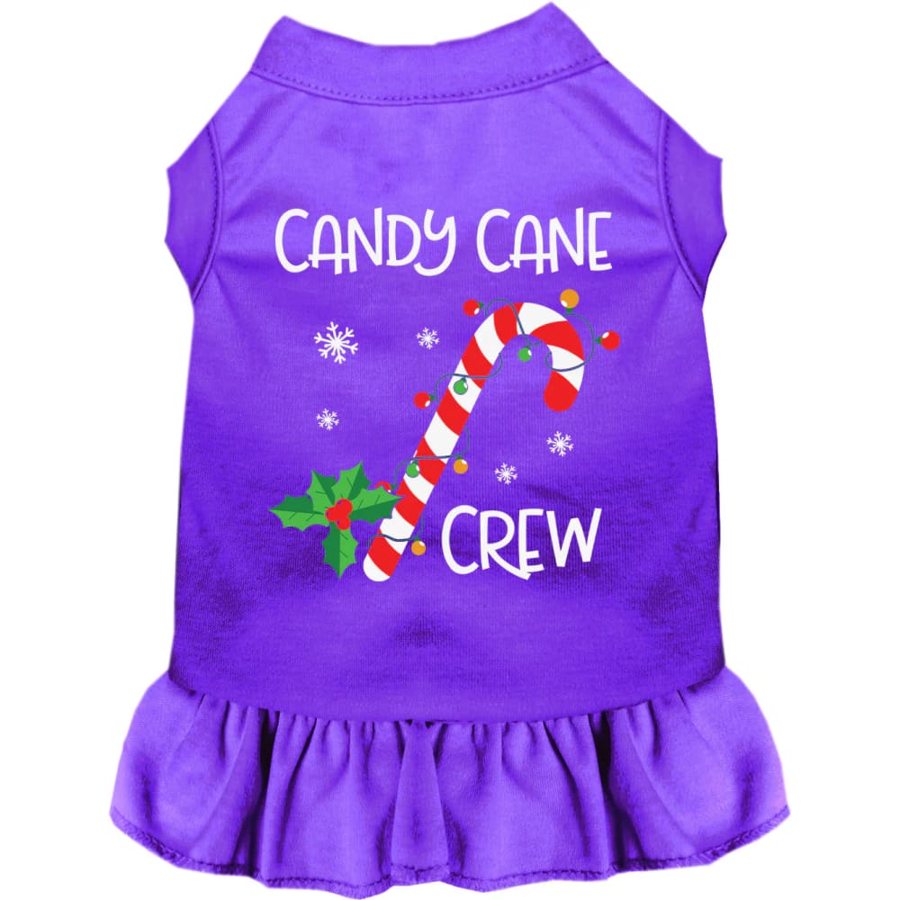 Candy Cane Crew Pet Dress - Christmas Dress