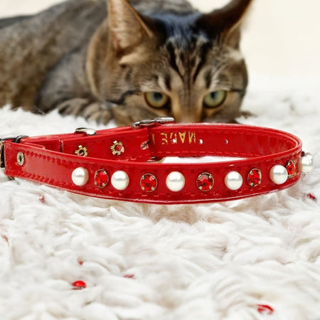 Cat Safety Collar w/ Band Patent Pearl and Crystals - Cat