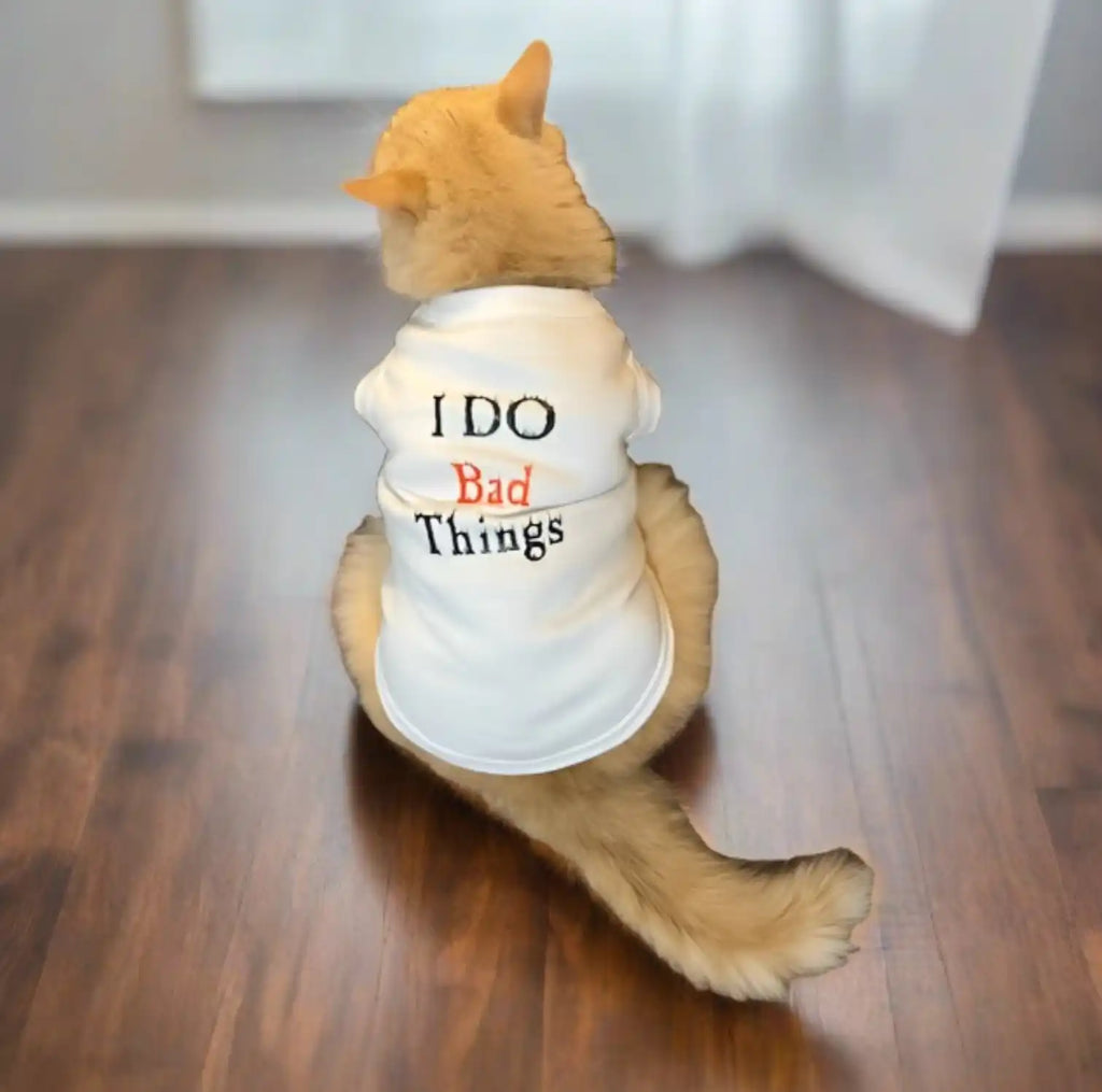 Cat wearing a white t-shirt with ’I DO Bad Things’ text printed on it.