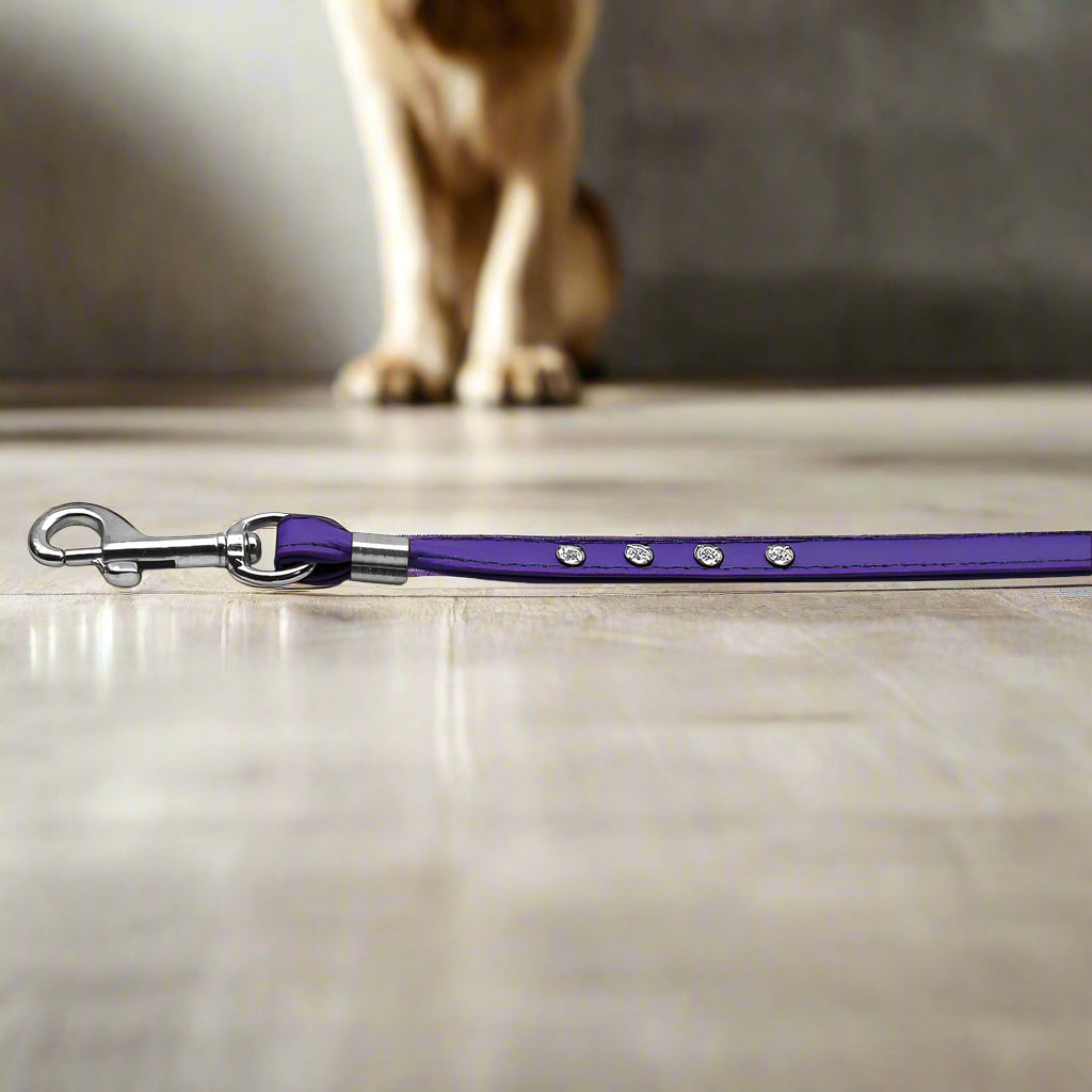 Clear Crystal 3/8’’ Rhinestone Leashes - Dog Leashes