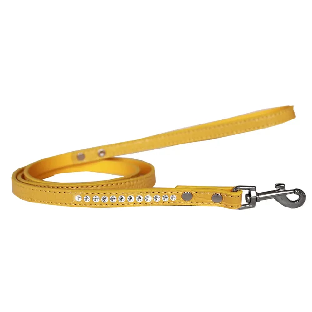 Clear Crystal Croc Pet Leashes - Dog Leashes