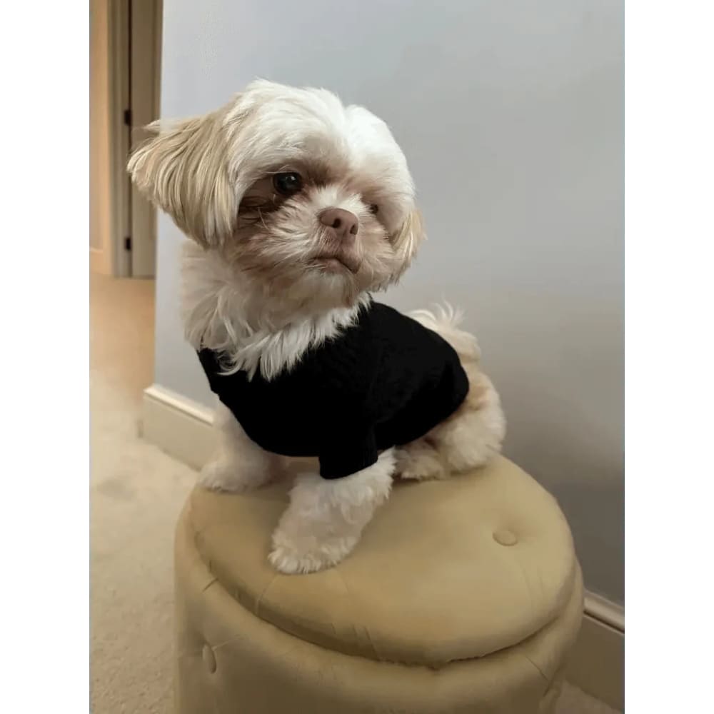 Special Buy Knit Pet Sweaters - Knit Sweater