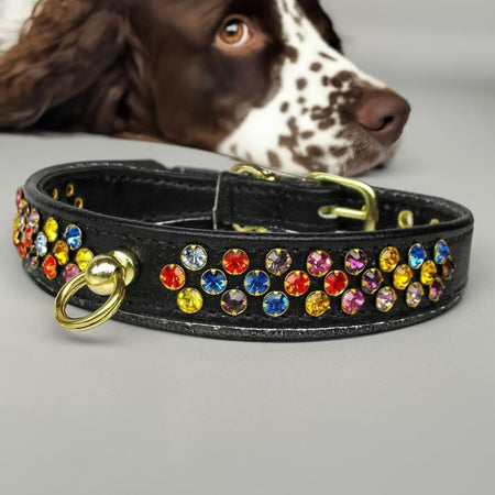 Confetti Dog Collar - Dog Collars - Jeweled