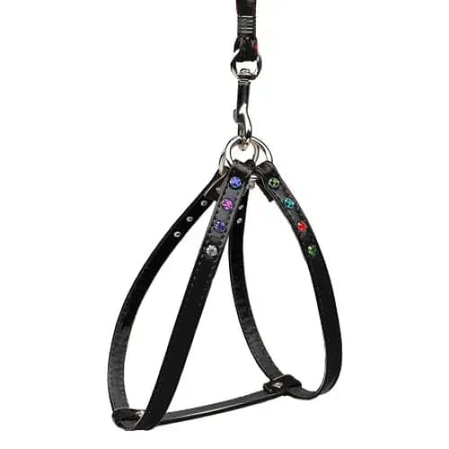 Confetti Step-In Dog Harness & Optional Leashes - Dog