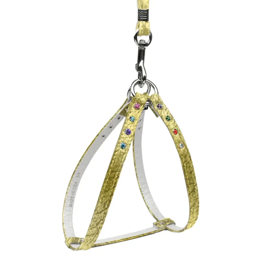 Confetti Step-In Dog Harness & Optional Leashes - Dog