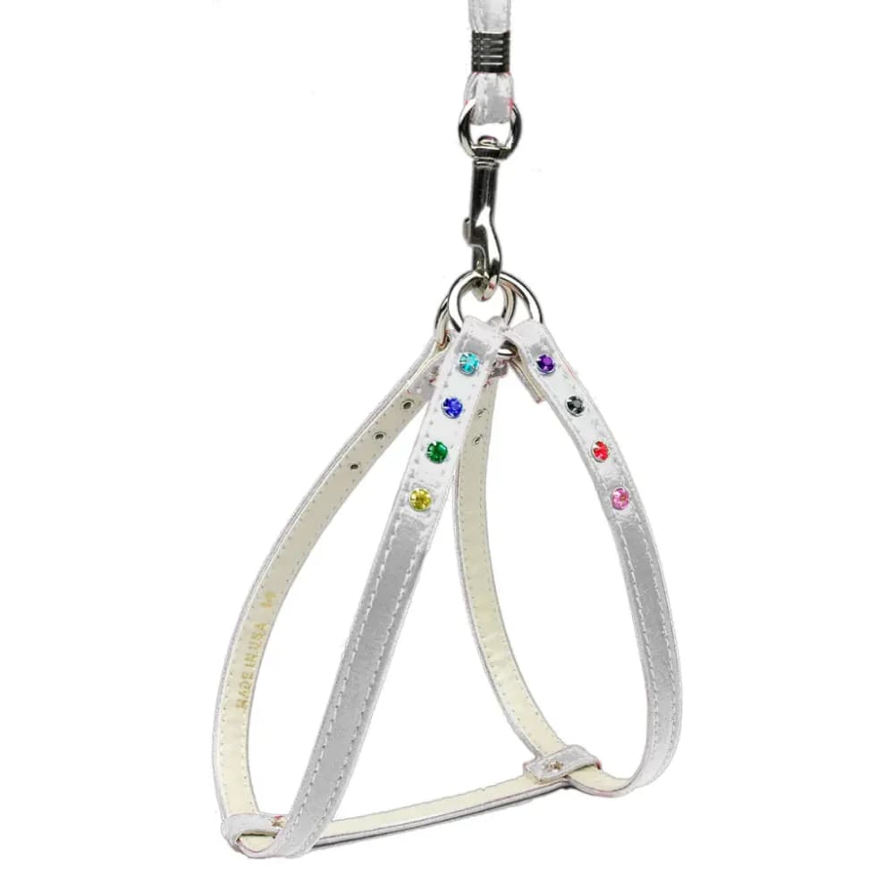 Confetti Step-In Dog Harness & Optional Leashes - Dog