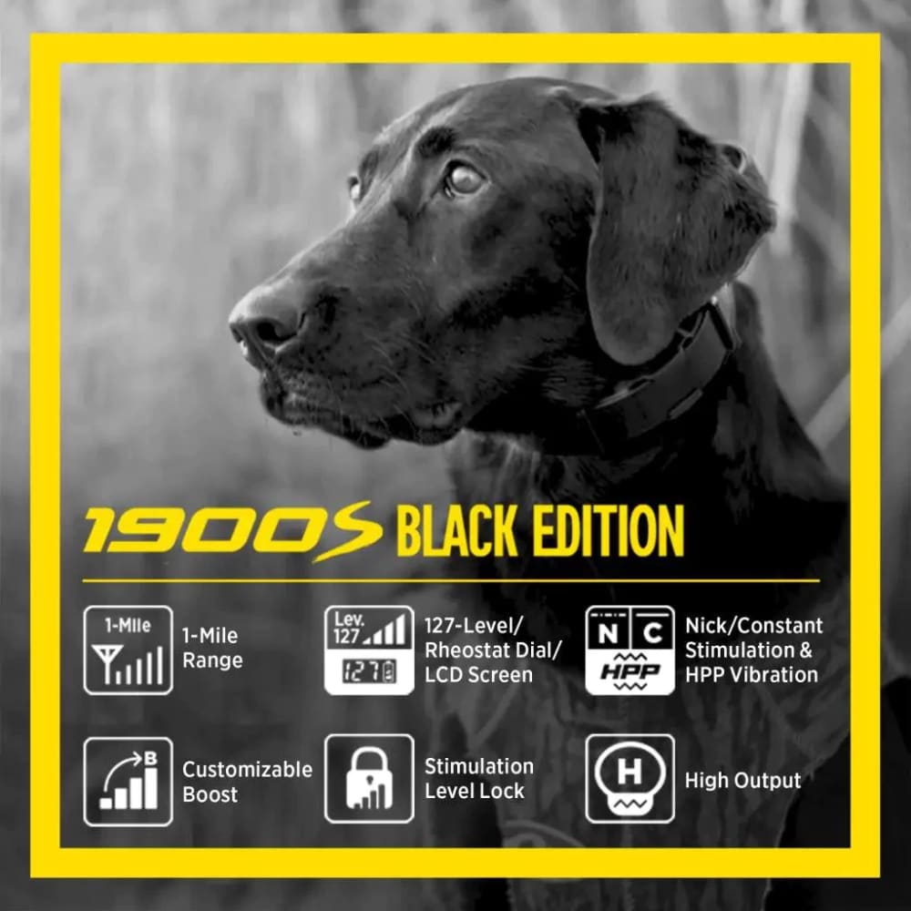 Dogtra 1900S Black Boost & Lock E-Collar Remote Dog Trainer