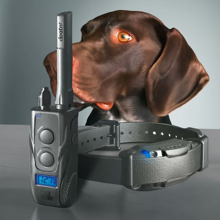 Dogtra 1900S Black Boost & Lock E-Collar Remote Dog Trainer