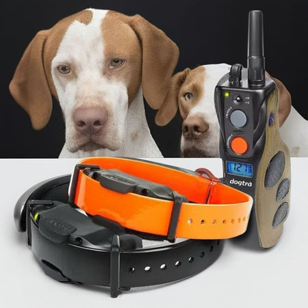 Dogtra 1902S Field Star 2 Dog 3/4 Mile Remote Trainer - Dog