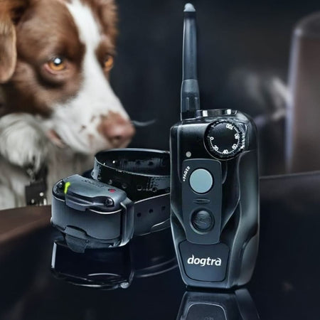 Dogtra 200C Remote Dog Training Collar - Dog Training