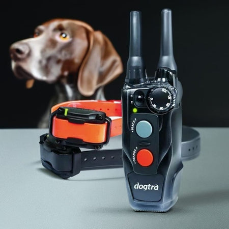 Dogtra 202C Two Dog Remote Dog Training Collar - Dog