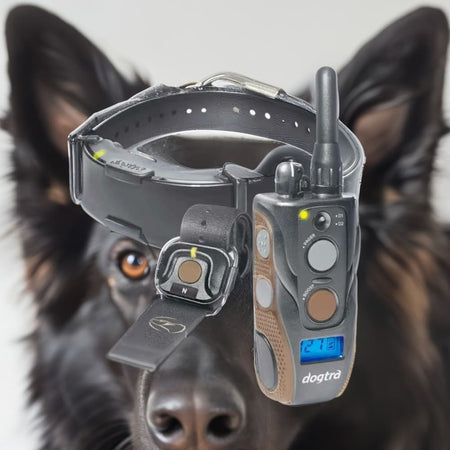 Dogtra ARC HANDSFREE Plus Boost and Lock Remote Dog