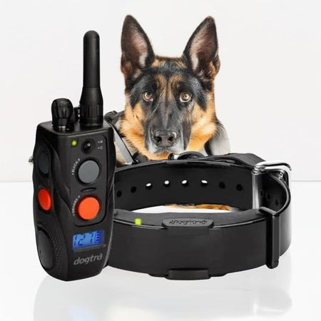 Dogtra ARC Remote Trainer - Dog Training Collars