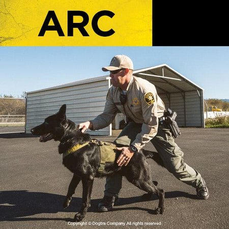 Dogtra ARC Remote Trainer - Dog Training Collars