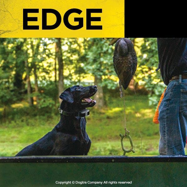 Dogtra EDGE 1 Mile Remote Trainer Expands Up To 4 Dogs