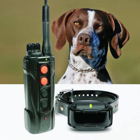 Dogtra Edge RT Trainer - Dog Training Collars