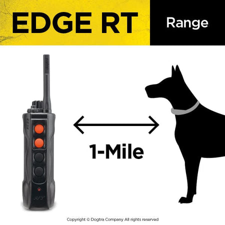 Dogtra Edge RT Trainer - Dog Training Collars