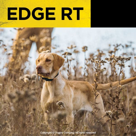 Dogtra Edge RT Trainer - Dog Training Collars