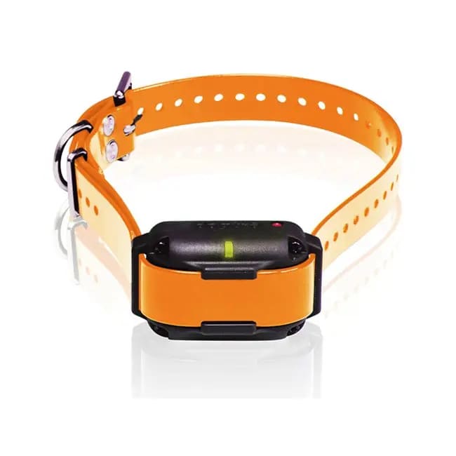 Dogtra Edge RT Trainer Extra Collar - Orange - Dog Training