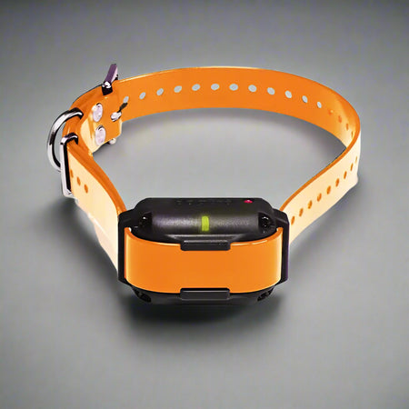 Dogtra Edge RT Trainer Extra Collar - Orange - Dog Training