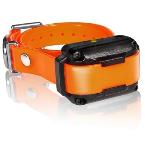 Dogtra IQ Plus Additional Receiver Orange Strap - Dog