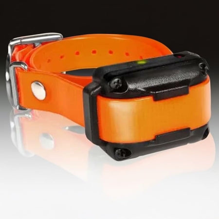 Dogtra IQ Plus Additional Receiver Orange Strap - Dog