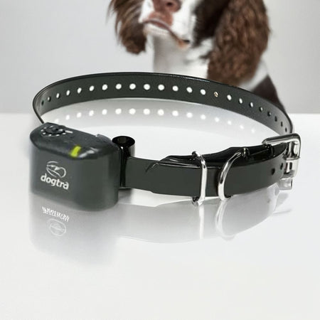 Dogtra No Bark Collar Small to Medium - Bark Control