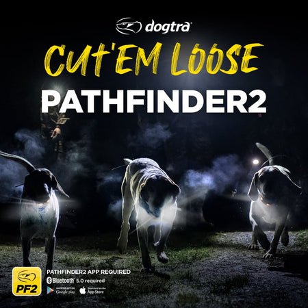 Dogtra Pathfinder 2 GPS Dog Tracker & Training Additional