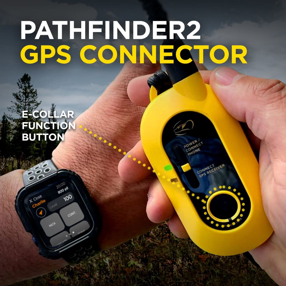 Dogtra Pathfinder 2 GPS Dog Tracker & Training Collar - Dog