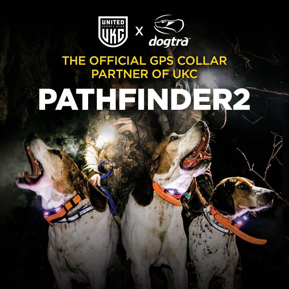 Dogtra Pathfinder 2 GPS Dog Tracker & Training Collar - Dog