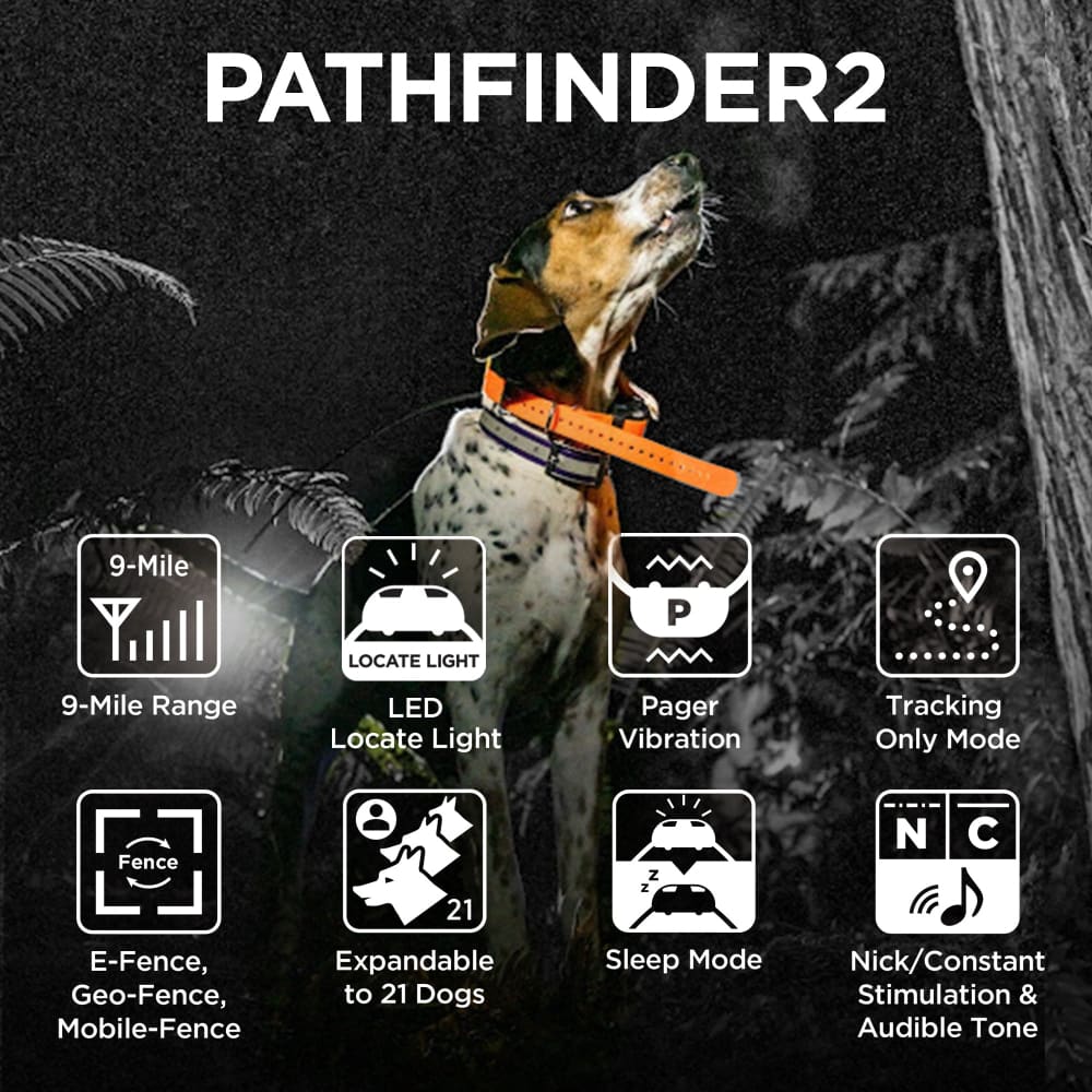 Dogtra Pathfinder 2 GPS Dog Tracker & Training Collar - Dog