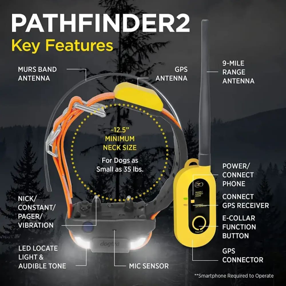 Dogtra Pathfinder 2 GPS Dog Tracker & Training Collar - Dog