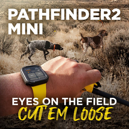 Dogtra PATHFINDER2 MINI GPS Dog Tracking and Dog Training