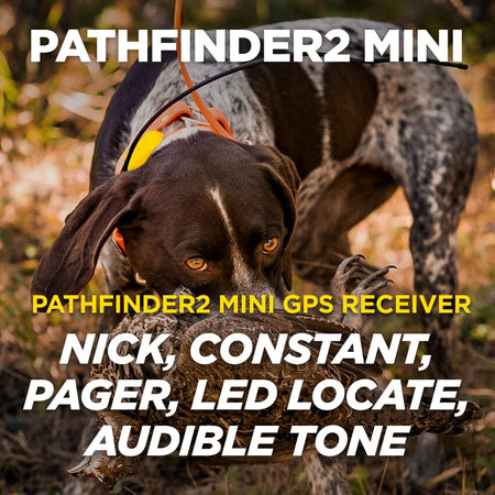 Dogtra PATHFINDER2 MINI GPS Dog Tracking and Dog Training