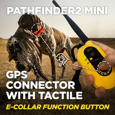 Dogtra PATHFINDER2 MINI GPS Dog Tracking and Dog Training